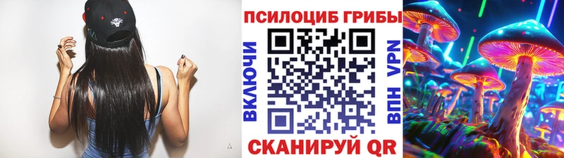 наркотики  Чебоксары  Галлюциногенные грибы мицелий 